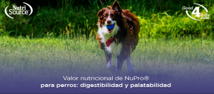 nu pro