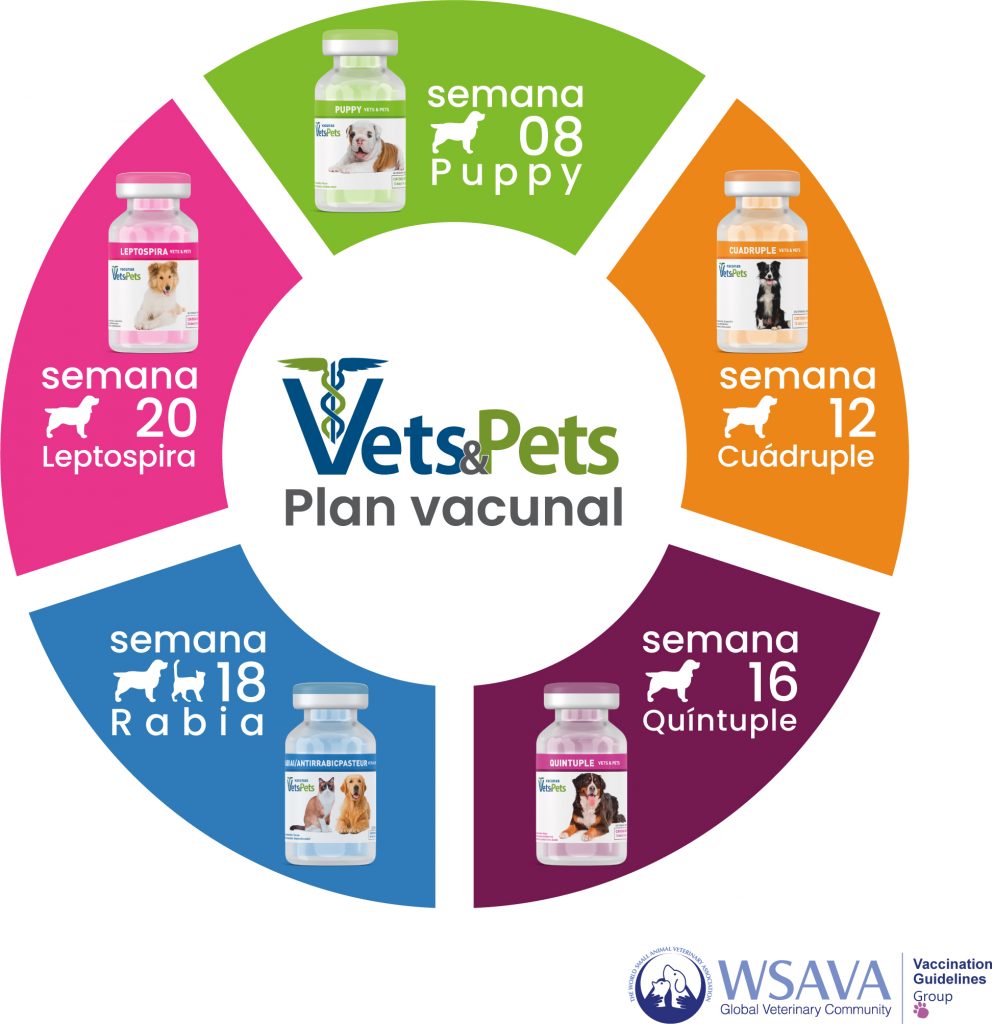 plan vacunas
