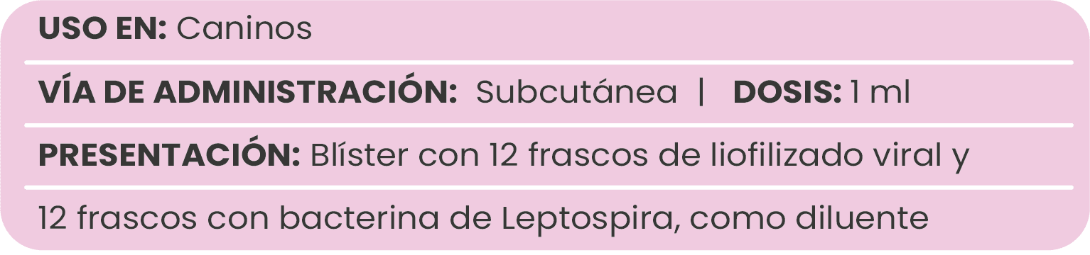 tabla