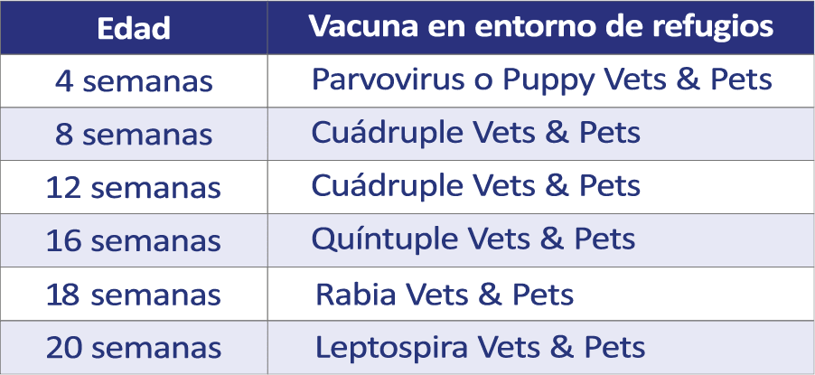tabla 1