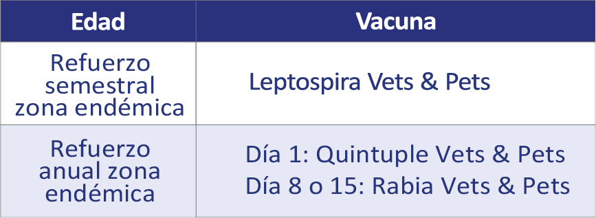 vacuna