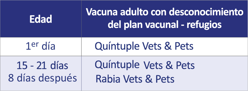 vacuna adulto