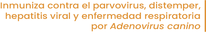 inmuniza