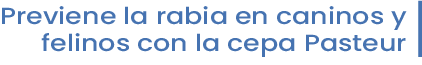 previene la rabia