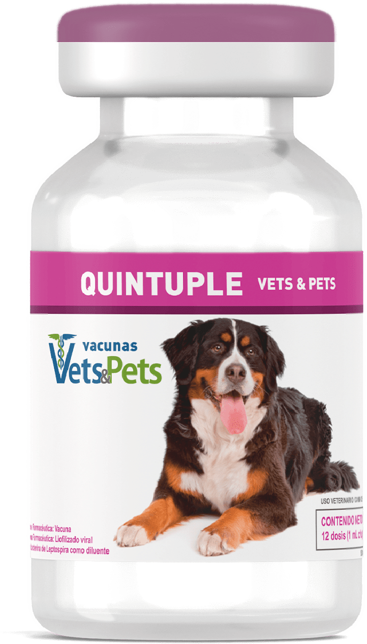 vacuna quíntuple