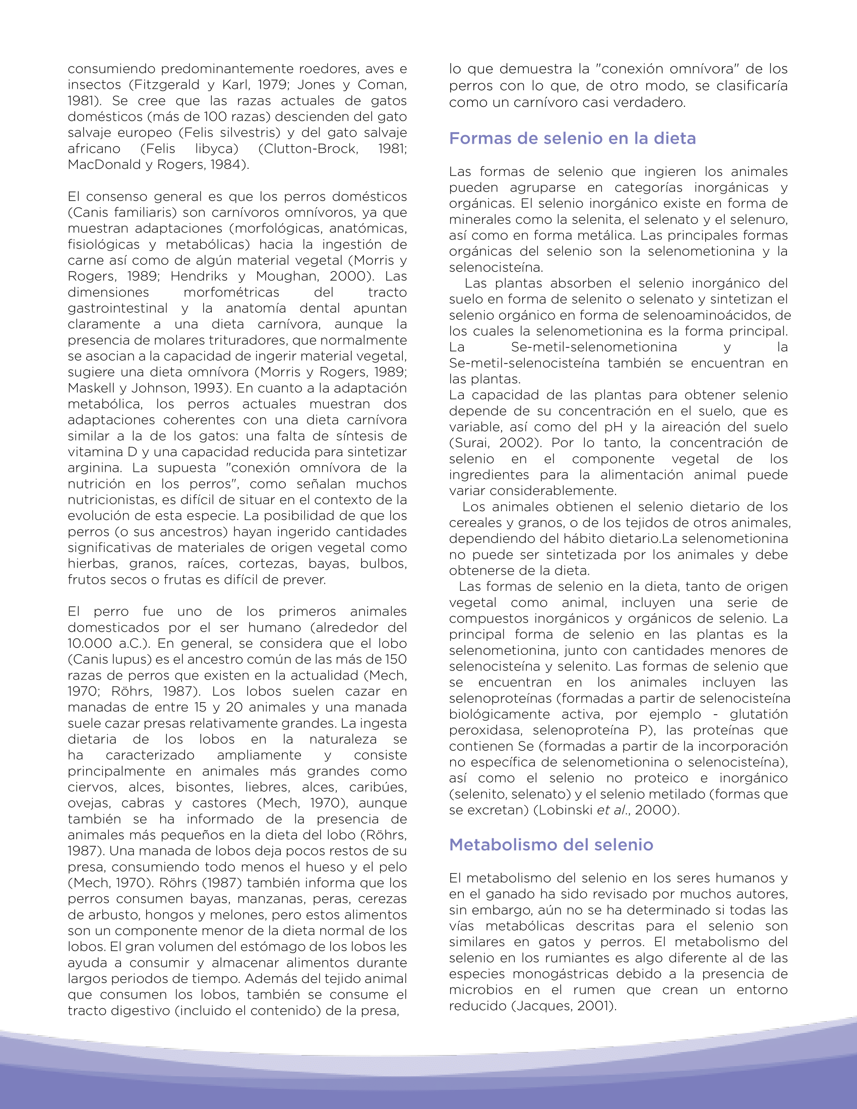 metabolismo