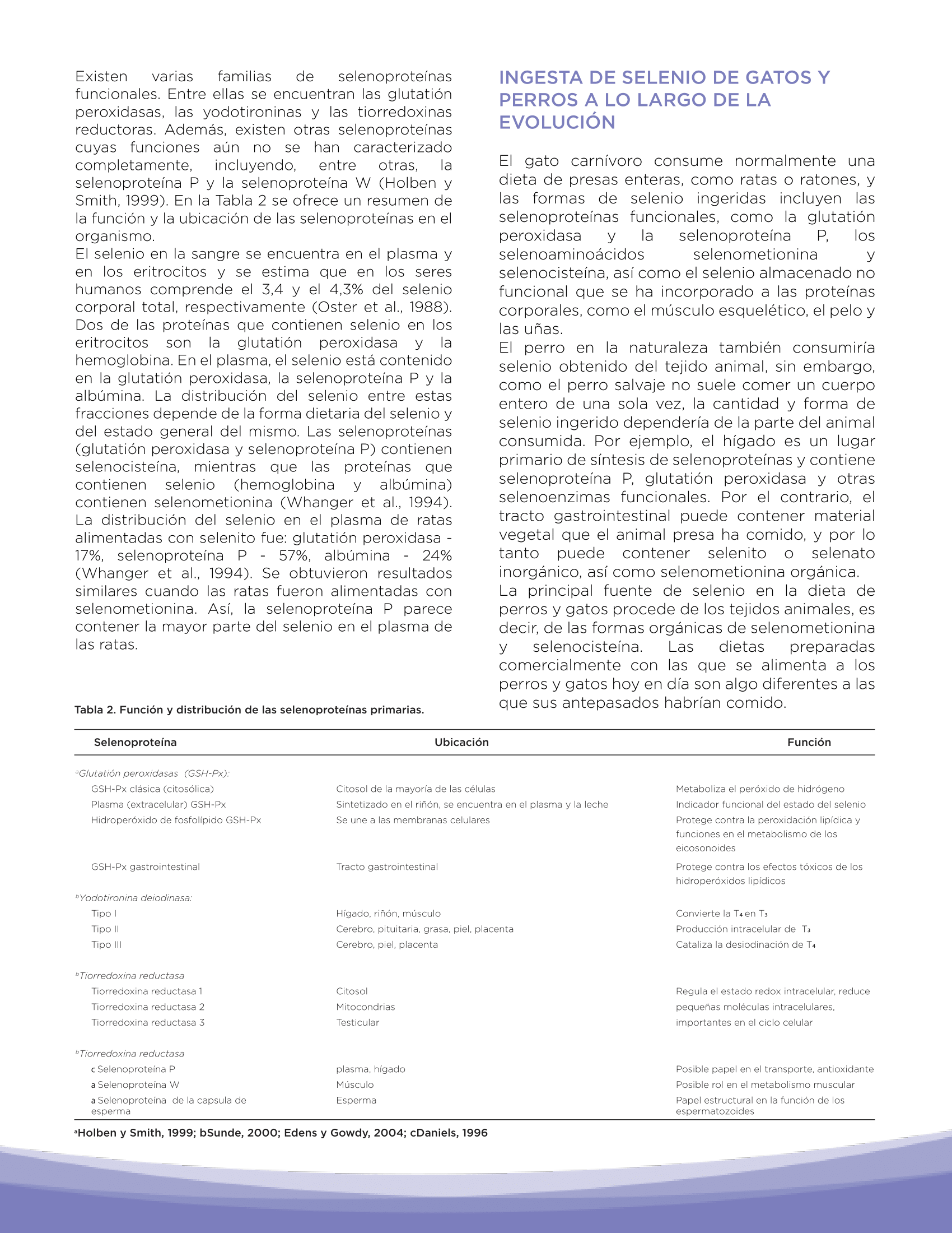 metabolismo