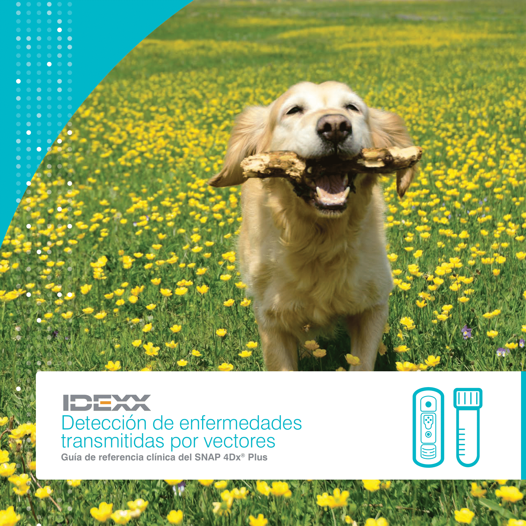 Detección de enfermedades transmitidas por vectores