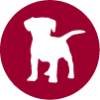 ll6