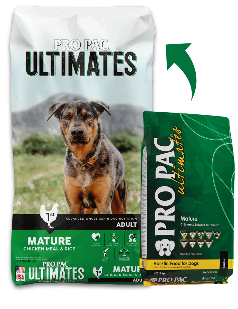 Mature Chicken Meal Rice Vets & Pets Costa Rica