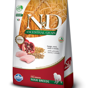 Pollo y Granada Adult Maxi